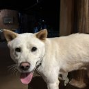 펀한노리터 이미지