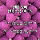 성동떡방앗간