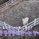 영수목장 이미지