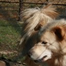 전주동물원 이미지