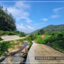 고성부동산중개사무소 이미지