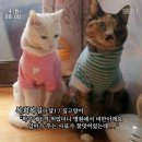 복길이집