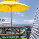 돌고래이야기펜션 B 이미지