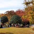 경상남도청 어린이집 이미지