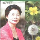 쇠뫼기 / 88번 지방도에 감추어진 진주 이미지