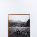 스페이스몸 미술관 이미지