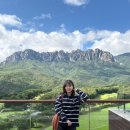 로카와 델피노2 이미지