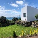 바이신산 이미지