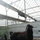 이천제이농장 이미지