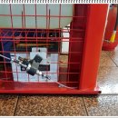 대구밧데리 대통령 이미지