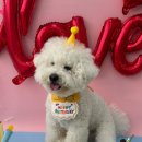 놀러오개(도화점) 이미지