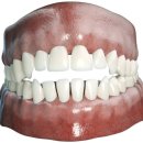 바른웅치과의원 이미지