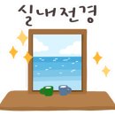 내송카케어