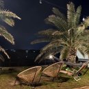 제주 자고가 이미지