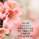 예쁜하루 이미지