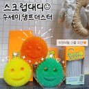 [코스트코 추천/5월 가정의달] 스크럽대디 수세미 댐프더스터 솔직후기