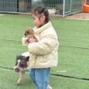 칠곡동물체험카페 이미지