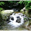 하얀쪽배 이미지