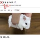 헤세드투어