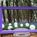 자연송림 이미지