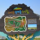 지천생태길 이미지