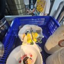 경기 유명약국 | [경기 맛집] 수원 영통 맛집 사계면반 영통본점｜비빔냉면·만둣국 솔직후기