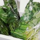 서대산약용자연휴양림 이미지