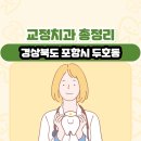 박현욱치과의원 | 경상북도 포항시 두호동 교정치과 총정리