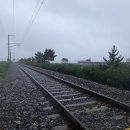 현대디씨렌트카 이미지