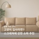 아가페 | 고양이 발톱 스크래쳐에 강한 쇼파 추천 아가페 가구 구매 후기