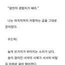 웹소설 작가의 놀라운 표현력 이미지