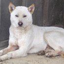 보화1로1 이미지