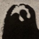 호동비빔밥 | [경기 광주] 고기 구워주는 고반식당 경안점 강추!