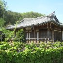 풍산태사로(서후면) 이미지