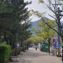 홈플러스옆길 이미지