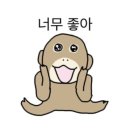 명동온누리약국 이미지