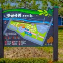 좌광천 산책로2 이미지