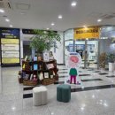 탐라_길에서 역사를 묻다 이미지