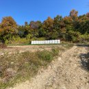 여주-1045 이미지