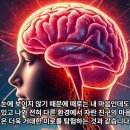나를 탐구하는 지혜 명리학 | 보이지 않는 마음의 우주를 연결하는 신비로운 마법 명리학과 수리과학 그리고 심리학의 아름다운 만남