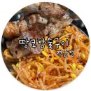 강남목살구이 | 서울 강남 역삼 땅코참숯구이 목살 삼겹살 맛집 내돈내산 후기