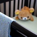 웰빙365다이어트 이미지