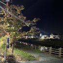 레몬무인텔 이미지