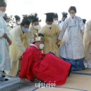 데일리안 이미지