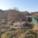 황소공인중개사사무소 이미지