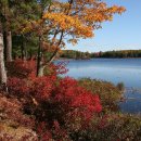 Acadia National Park in Maine 이미지