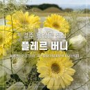 플레르버니 | 경주 꽃집 추천 [플레르버니] 세련되고 감각적인 예쁜 꽃다발 만드는 집