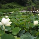 초록지기마을 이미지