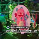 24 guesthouse 동대문마켓점 | 빛축제 크리스마스마켓 스케이트까지 다 있는 서울윈터페스타