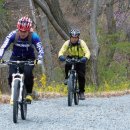 금호강변로 이미지